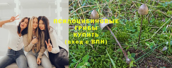 а пвп мука Алзамай