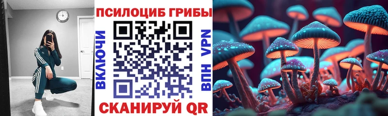 Псилоцибиновые грибы MAGIC MUSHROOMS  мега рабочий сайт  Черепаново  цена  
